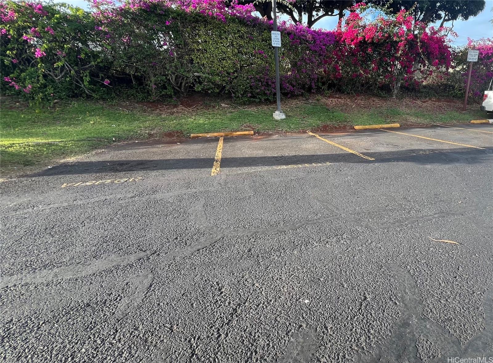 Photo 16 of 25