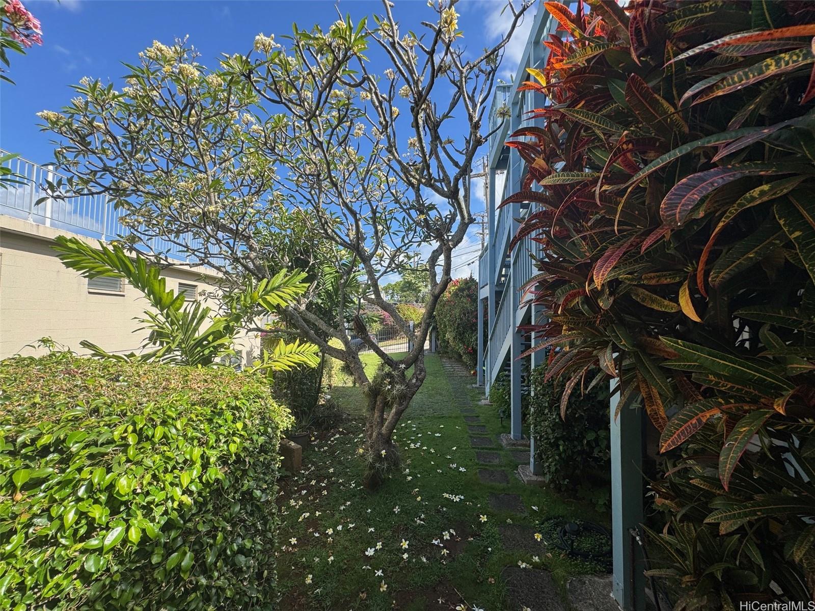 Photo 15 of 15