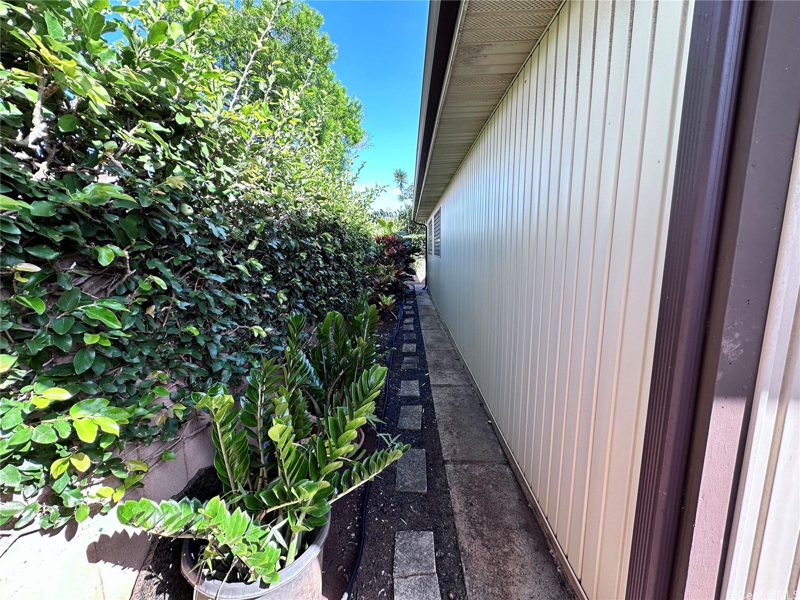 Photo 20 of 25