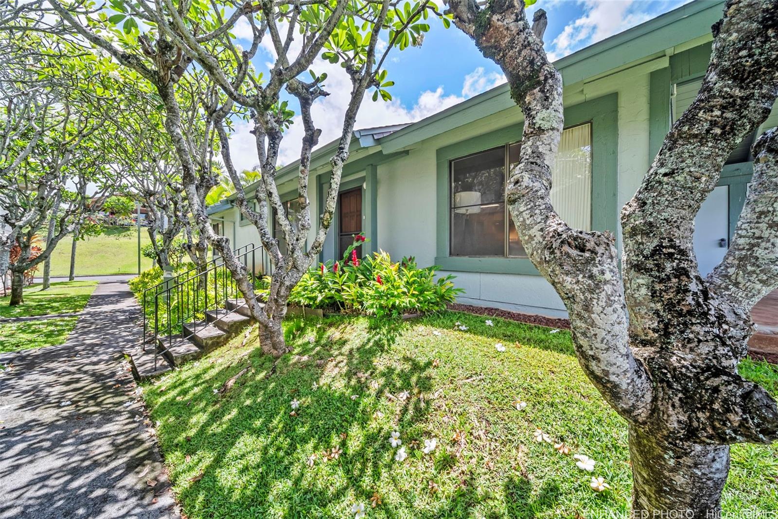 Photo 20 of 25