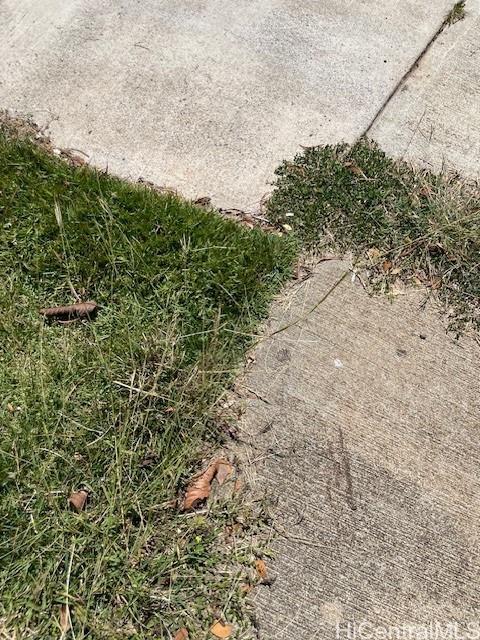 Photo 7 of 11