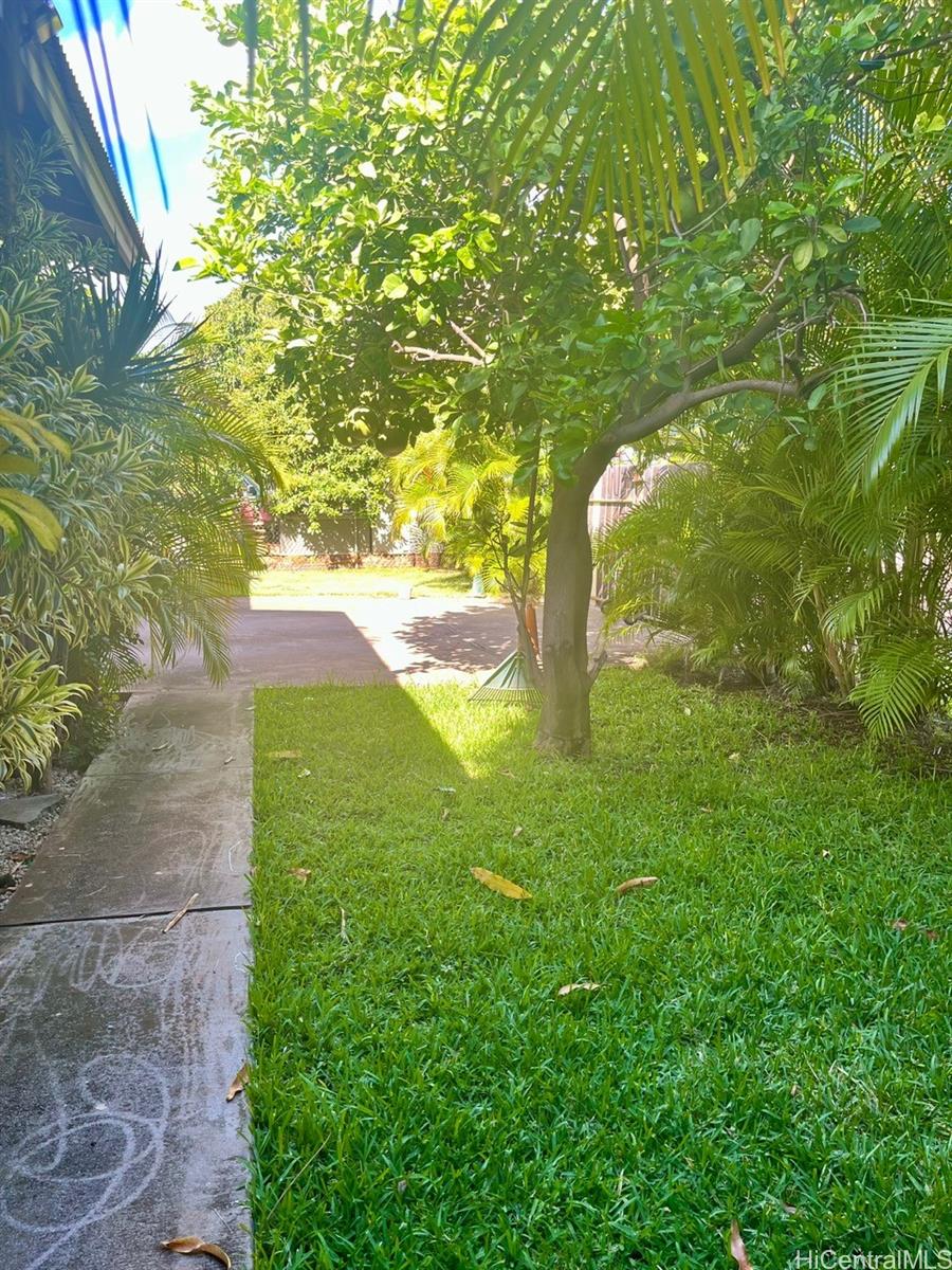 Photo 19 of 24