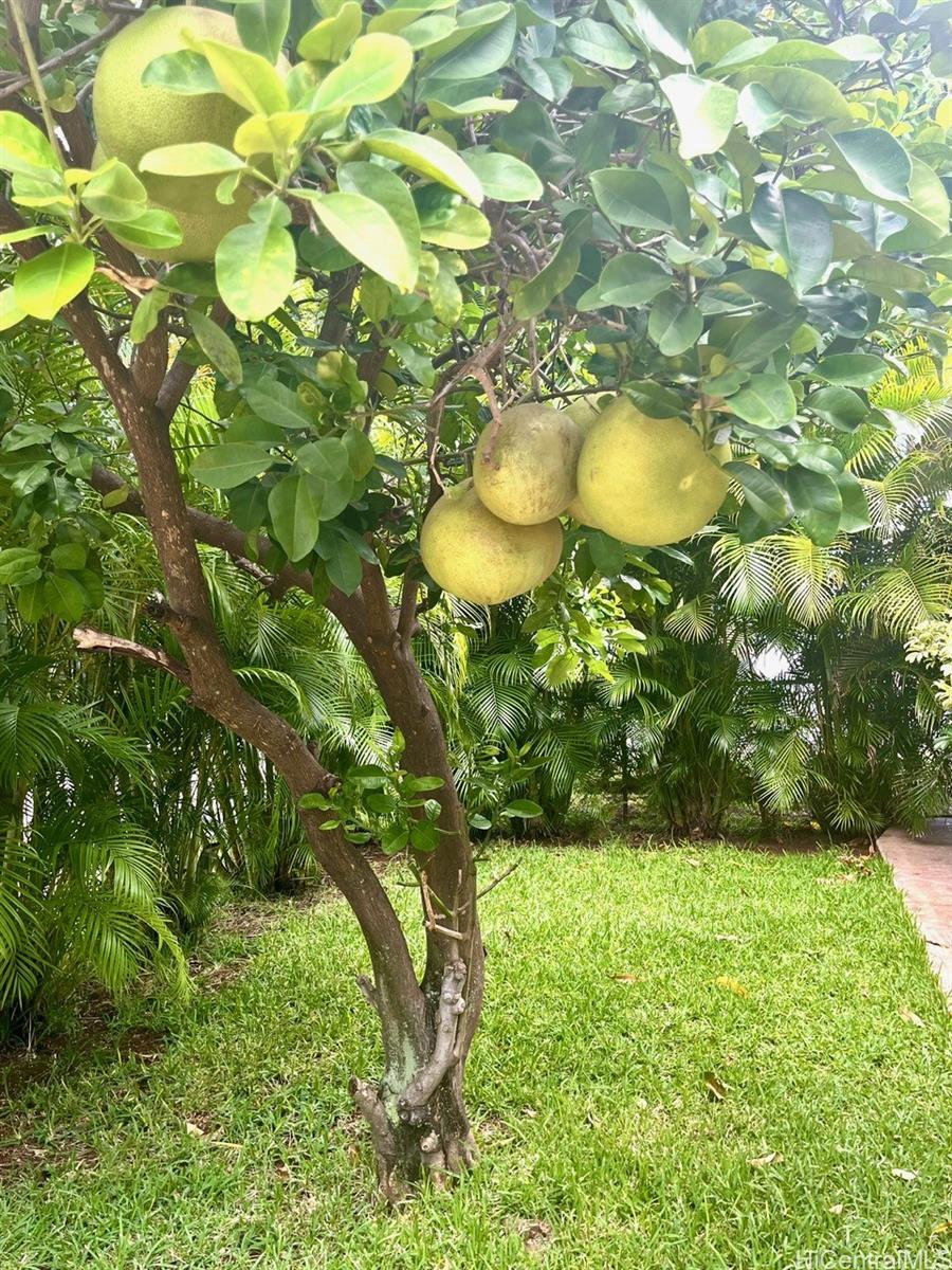 Photo 20 of 24