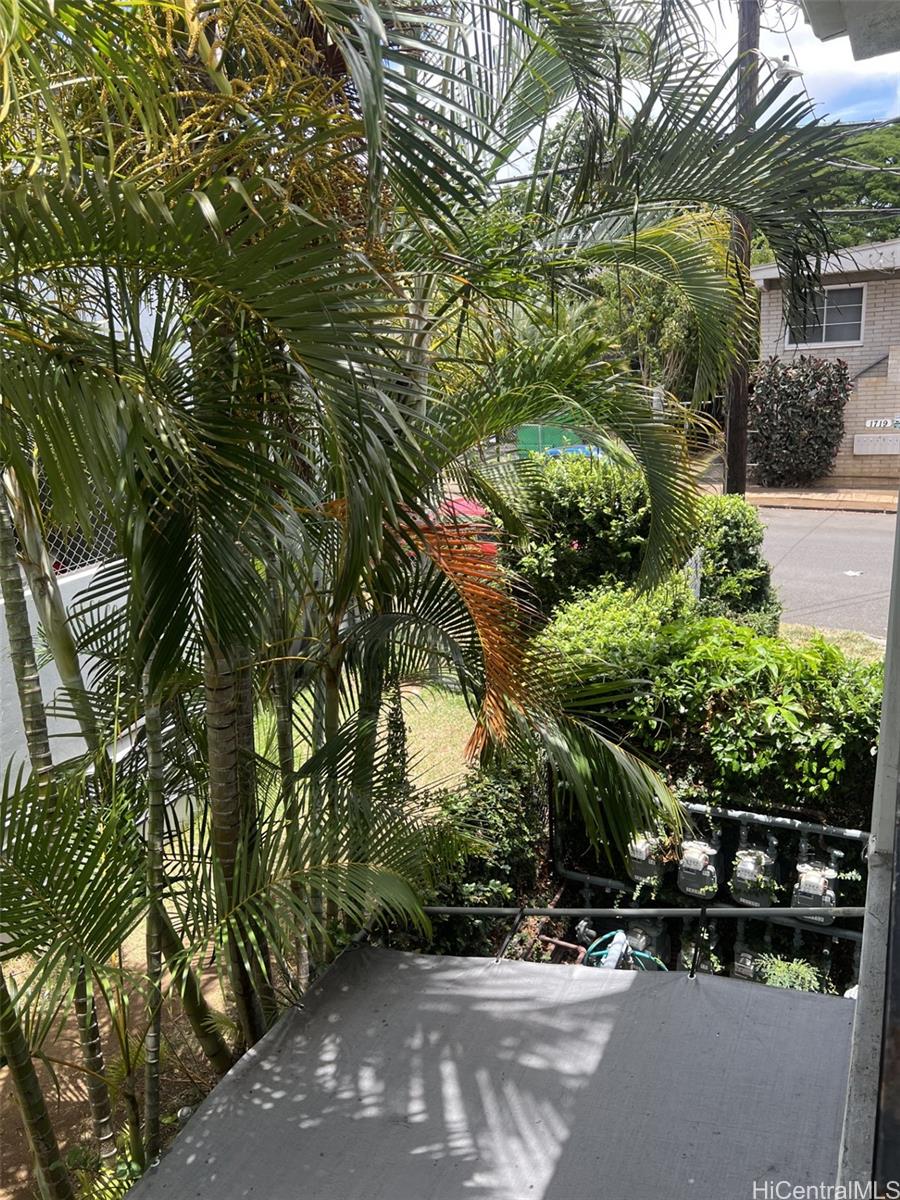 Photo 19 of 24