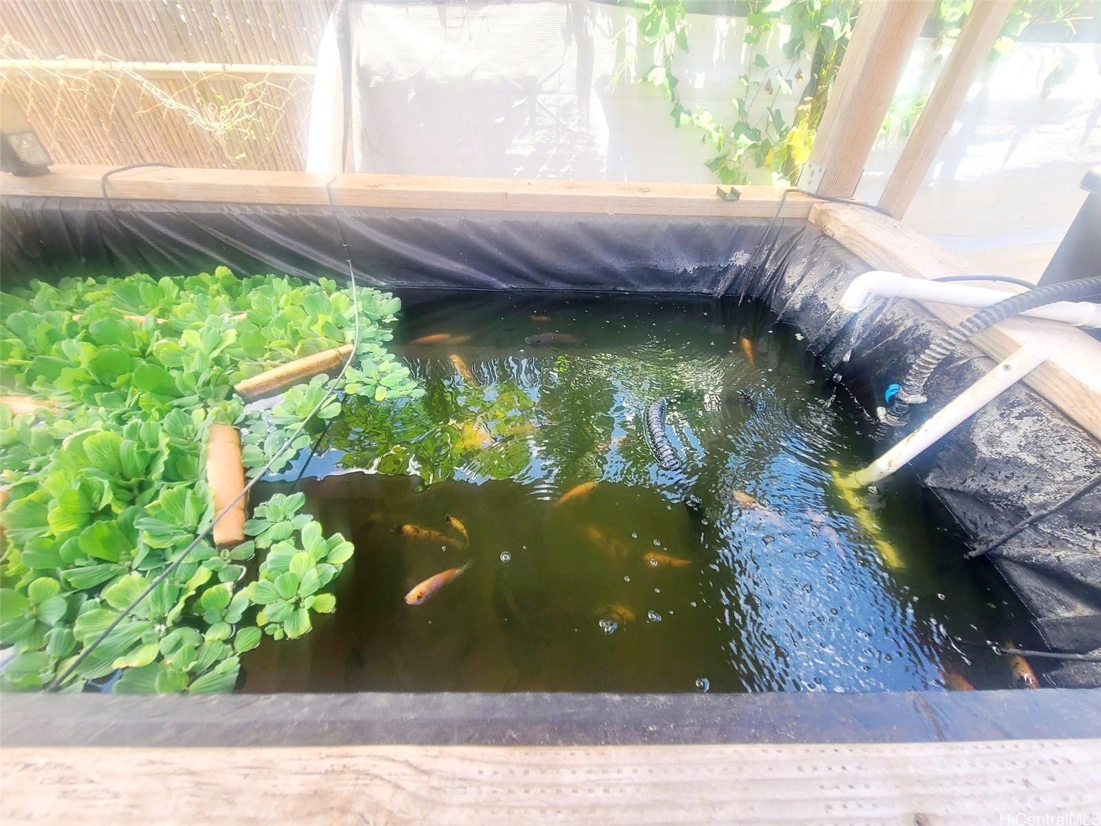 Photo 11 of 25