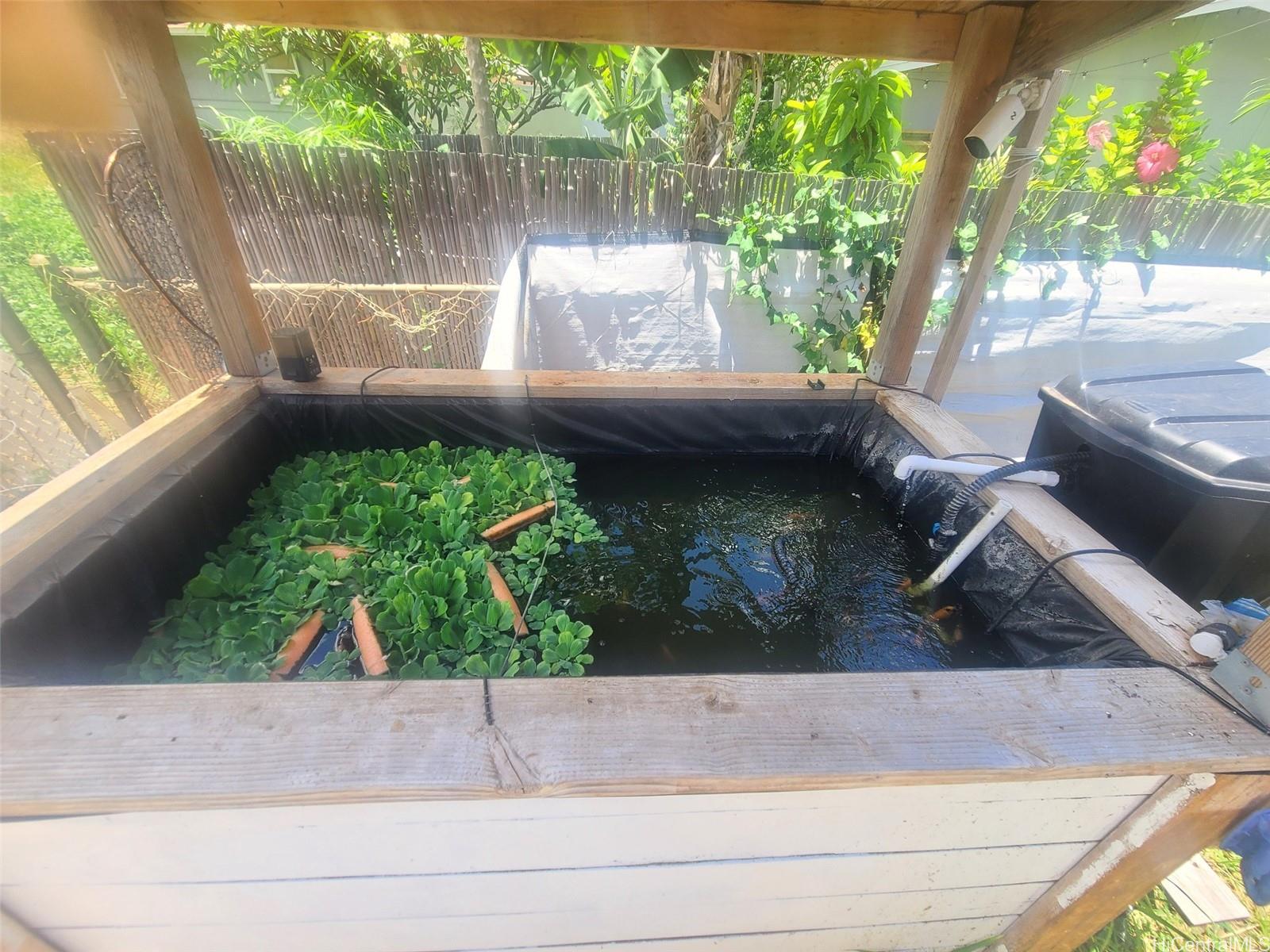 Photo 12 of 25