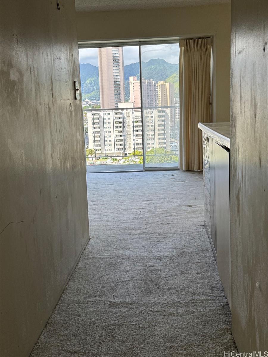 Photo 9 of 24