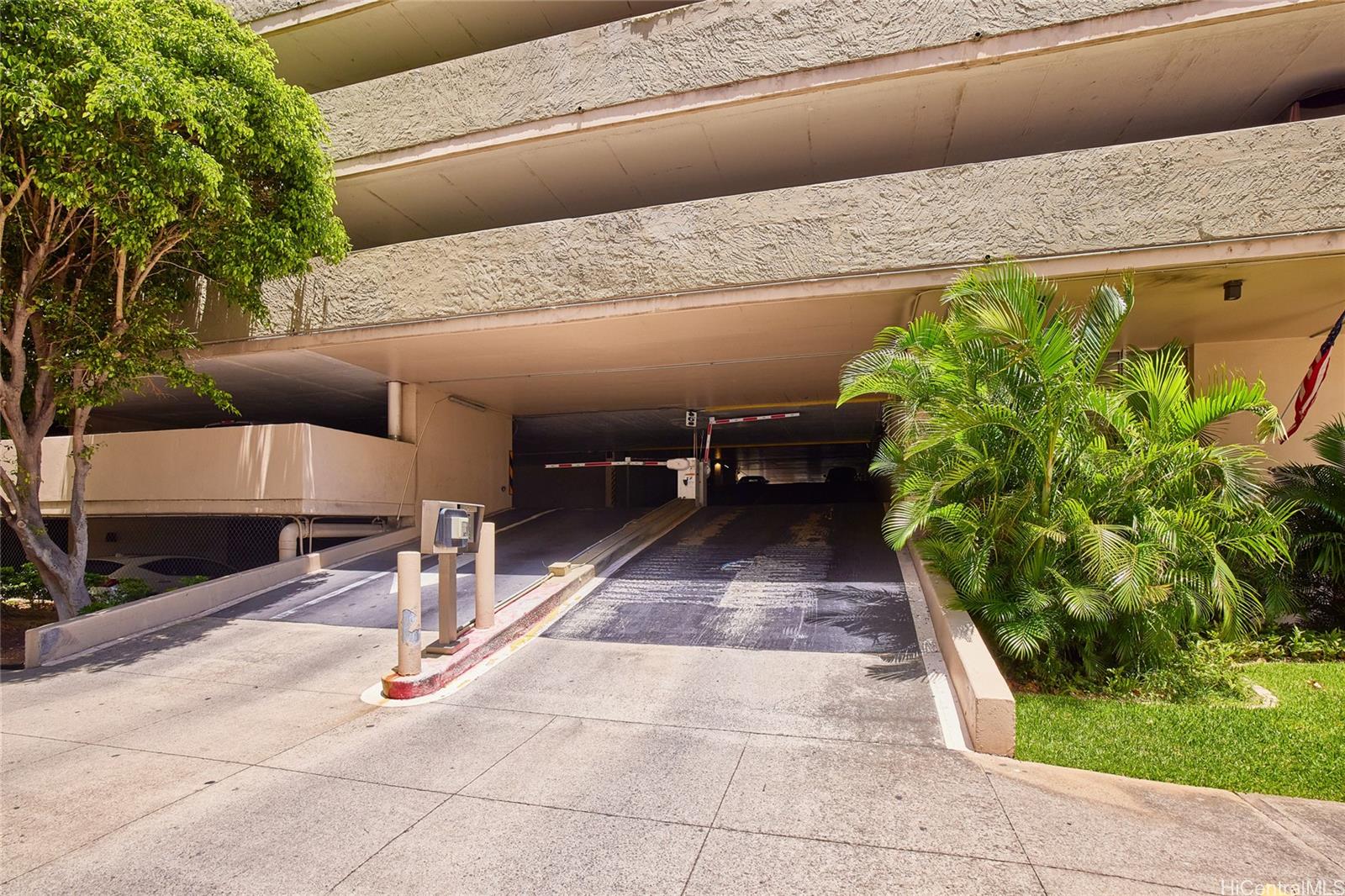 Photo 10 of 25