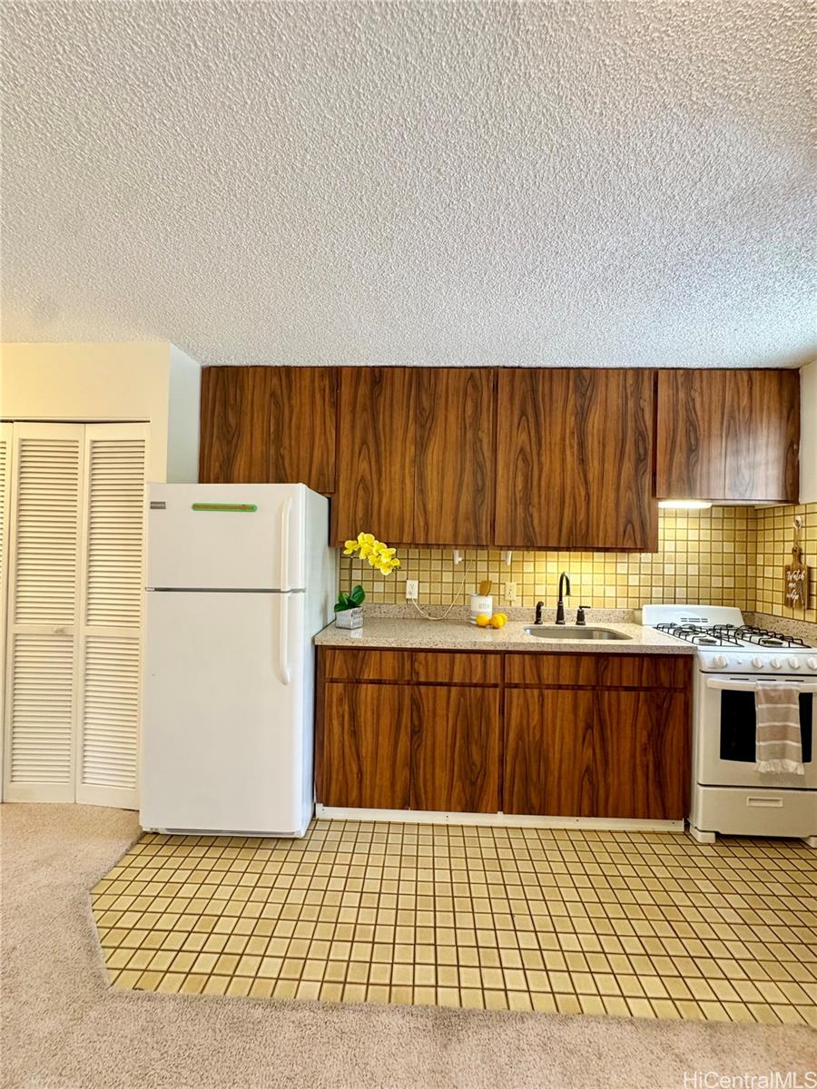 1036 Green Street  Unit 204