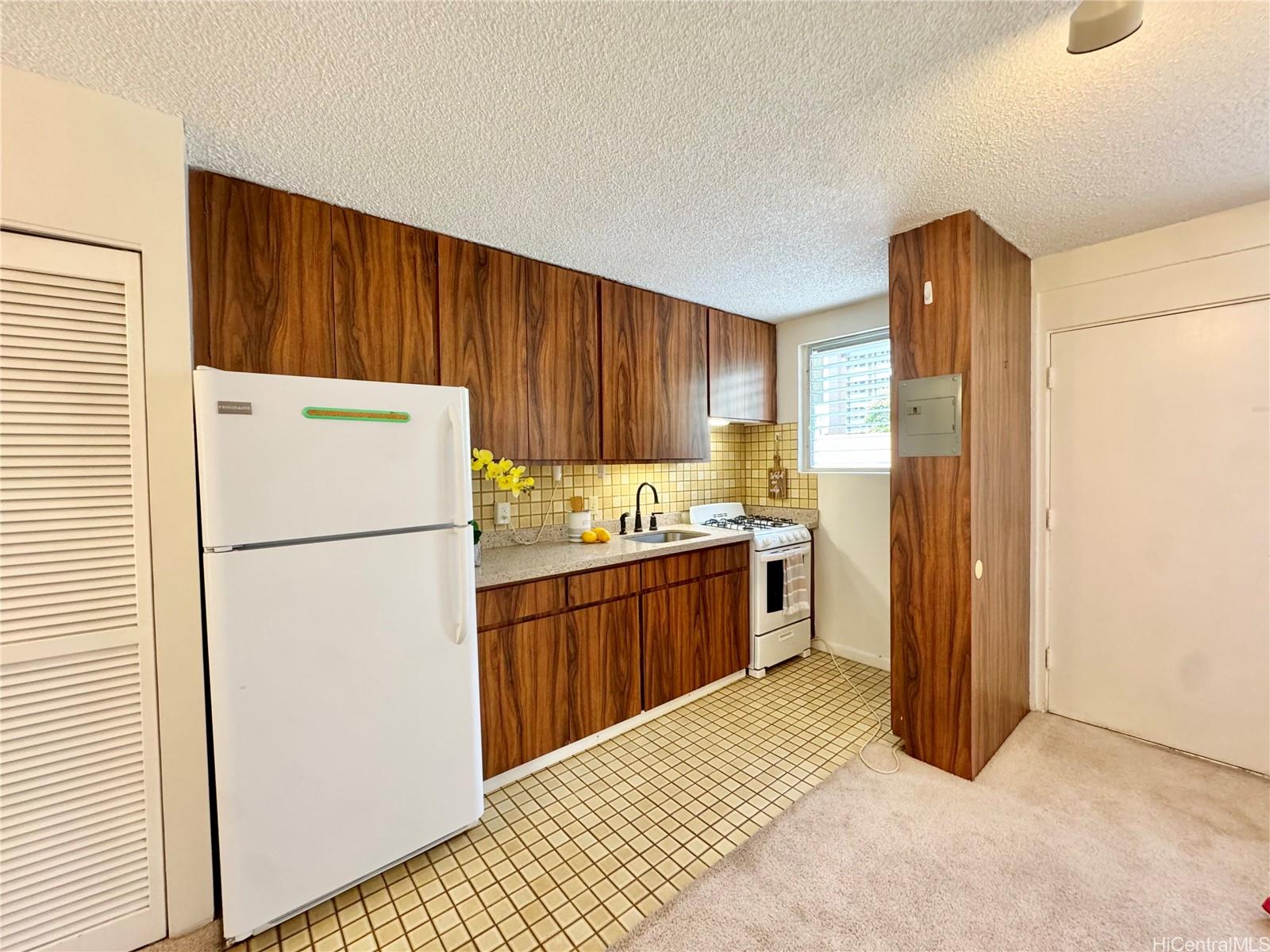 1036 Green Street  Unit 204