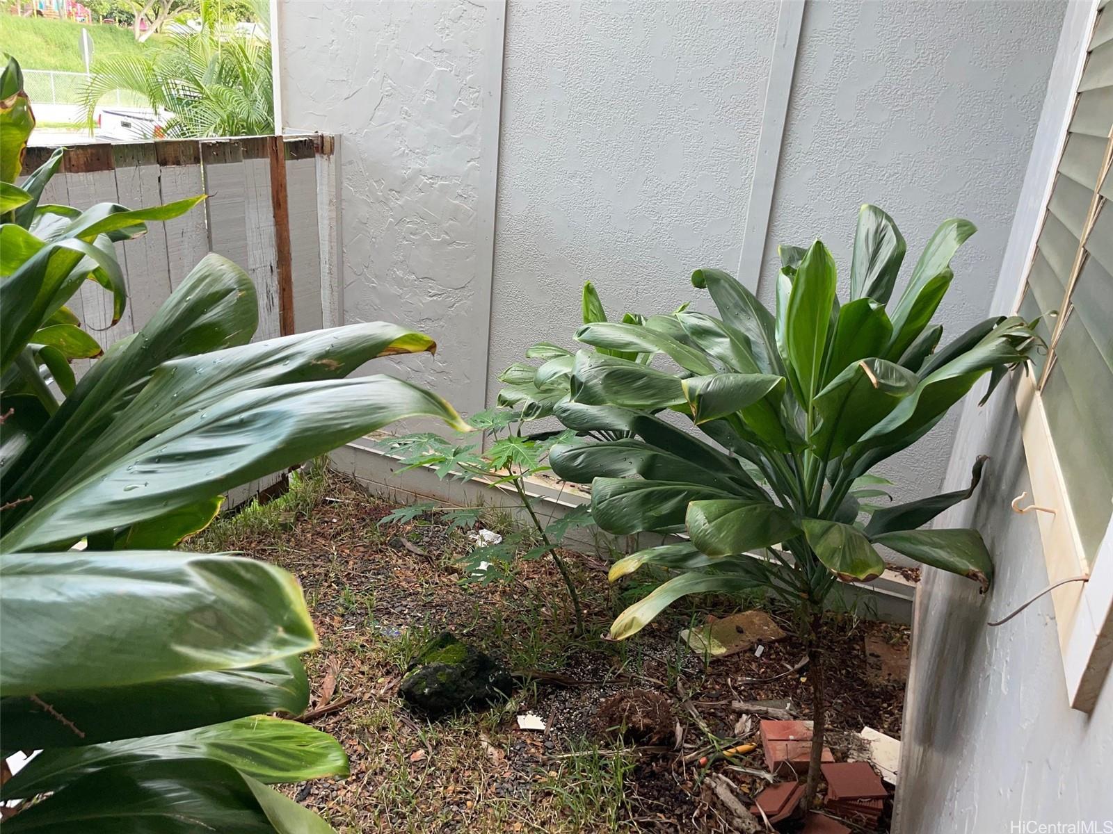 Photo 15 of 20