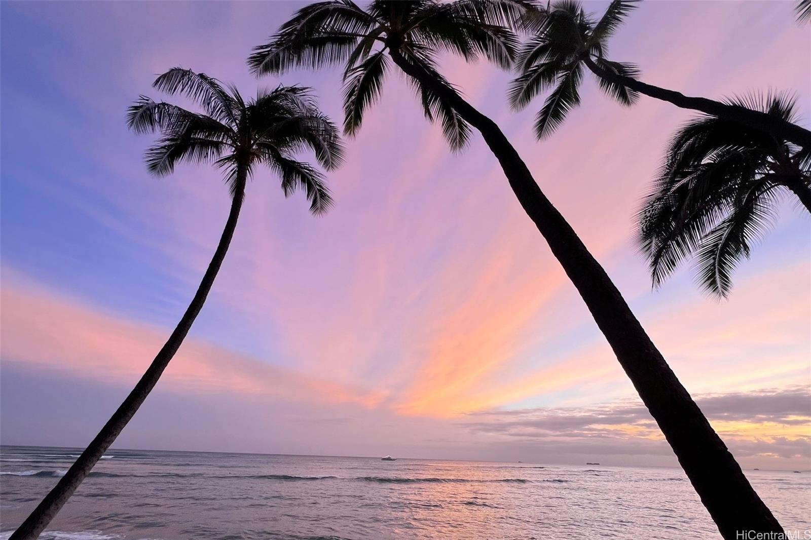 2987 Kalakaua Avenue  Unit 205