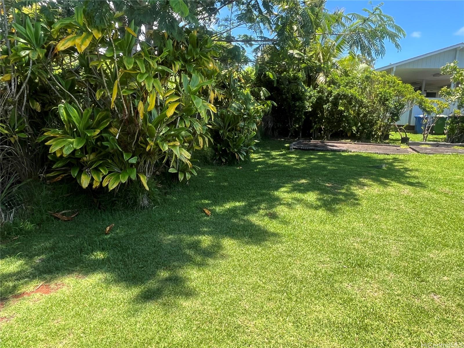 Photo 10 of 25