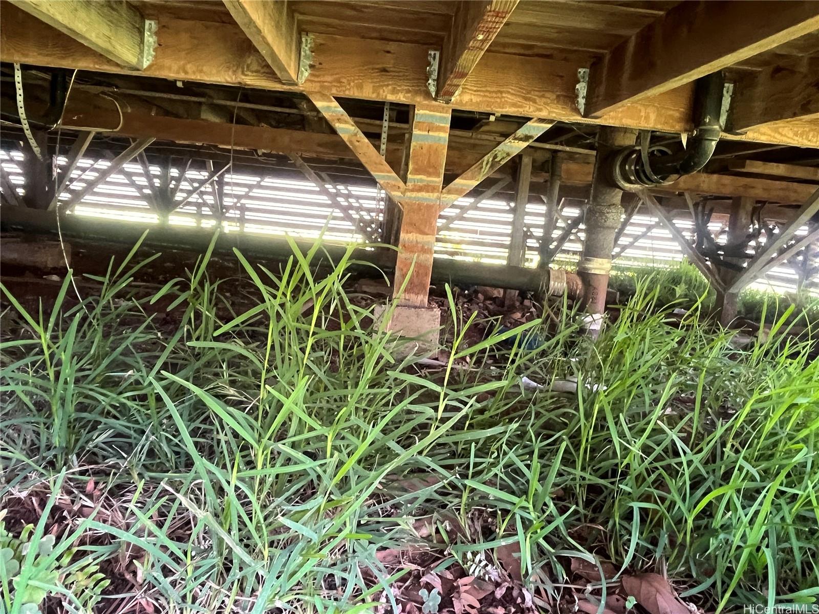 Photo 22 of 25