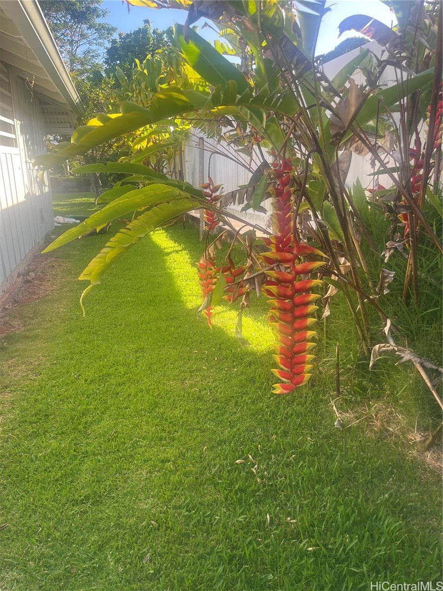 Photo 25 of 25