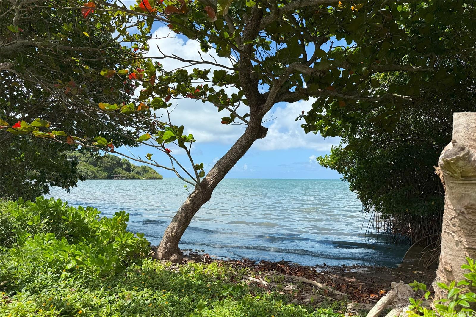 Photo 17 of 19