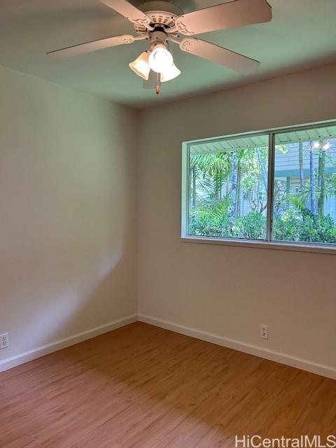 Photo 11 of 24