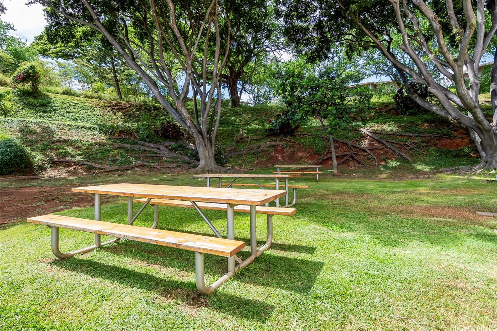 1060 Kamehameha Highway  Unit 2308B