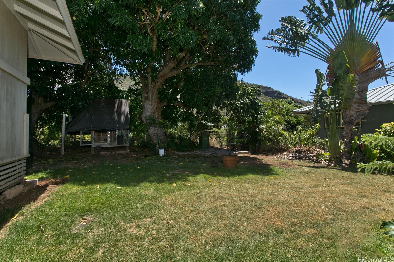 Photo 17 of 25