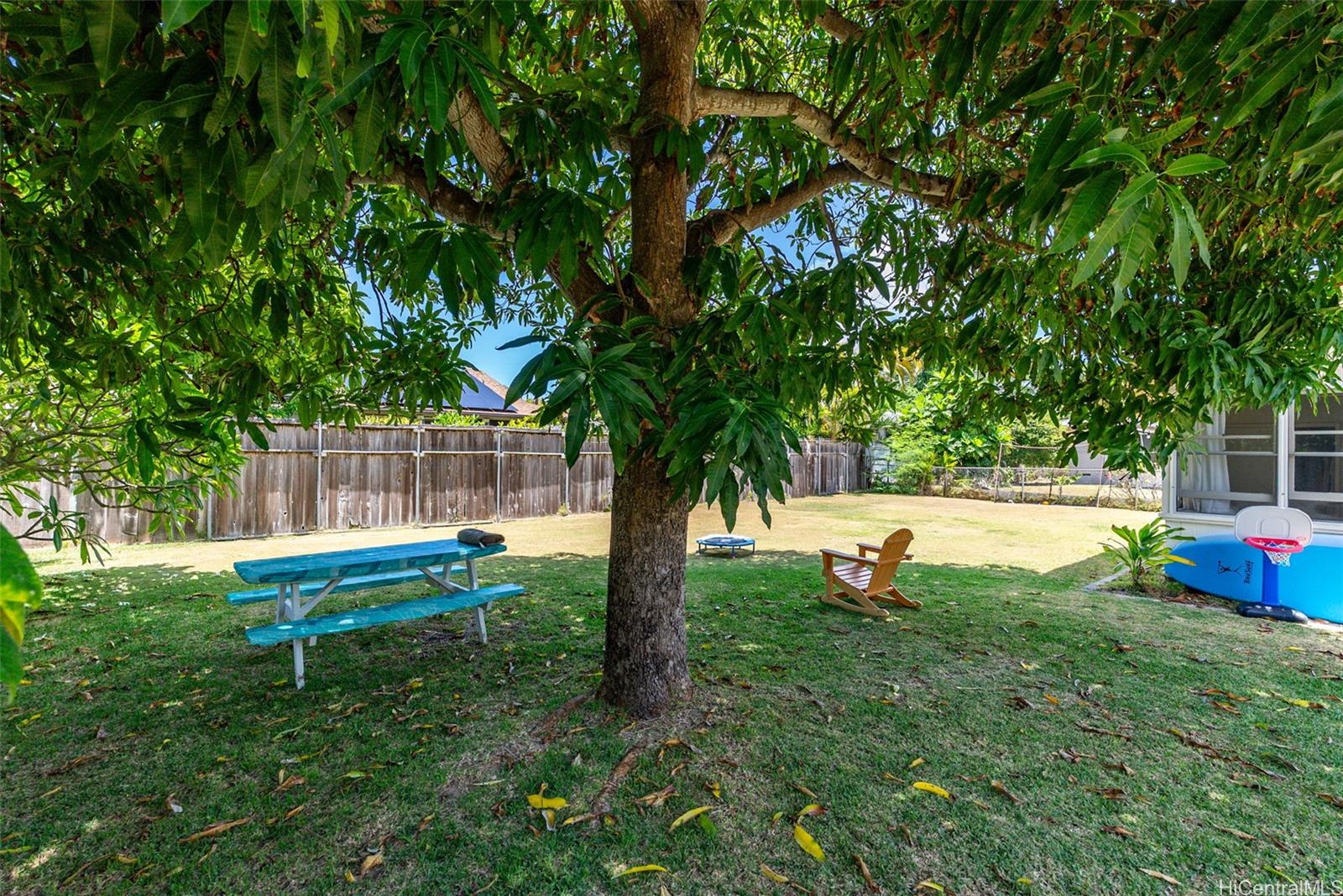 Photo 6 of 21