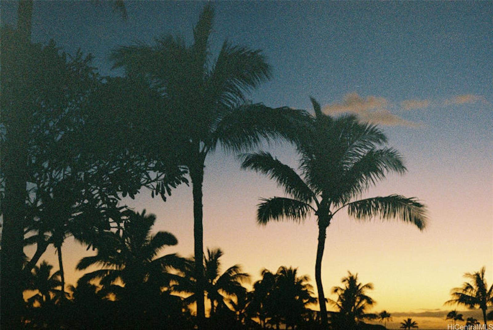 Photo 23 of 25