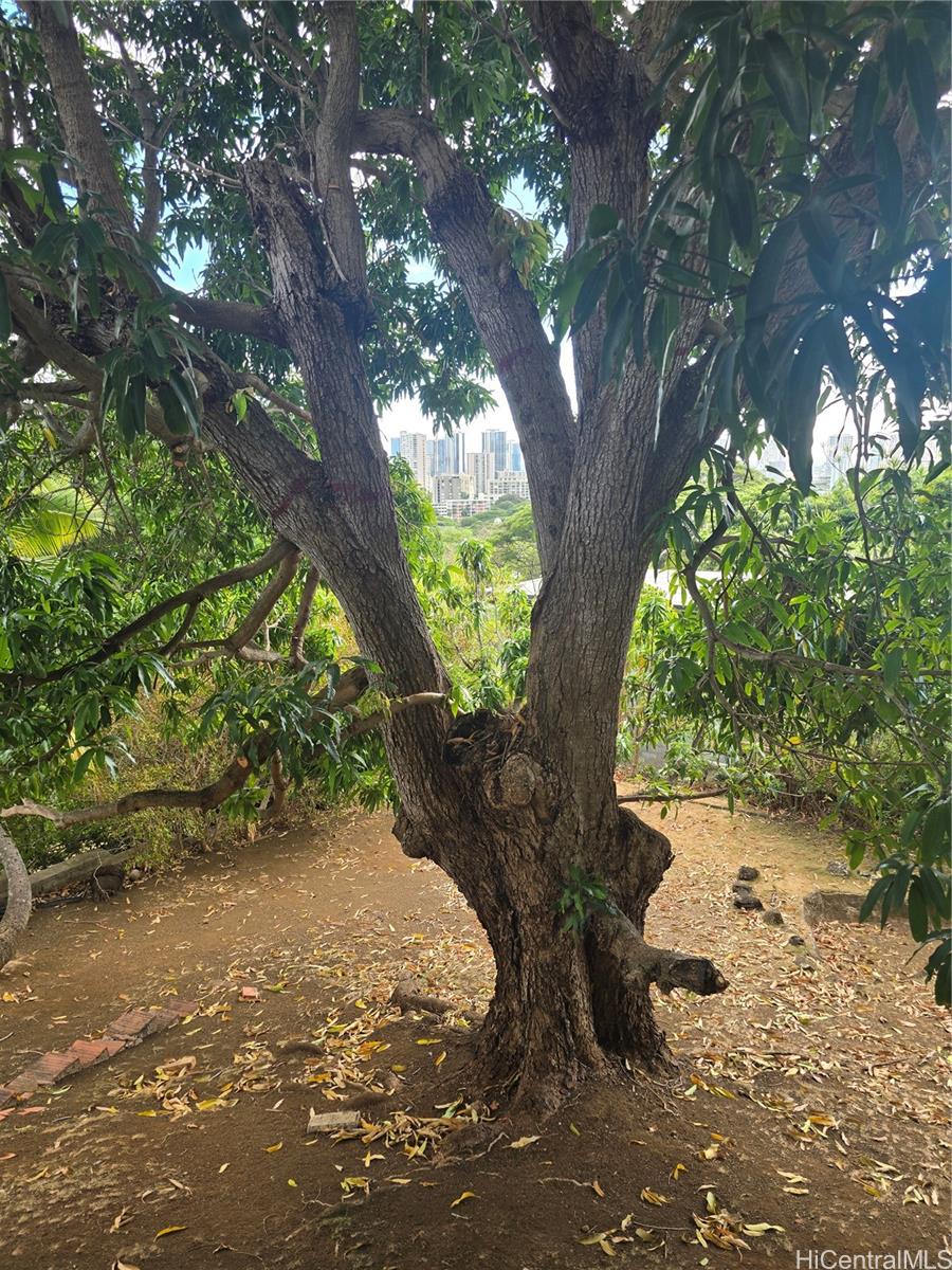 Photo 22 of 25