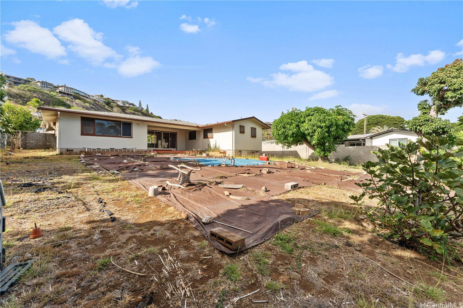 Photo 20 of 25