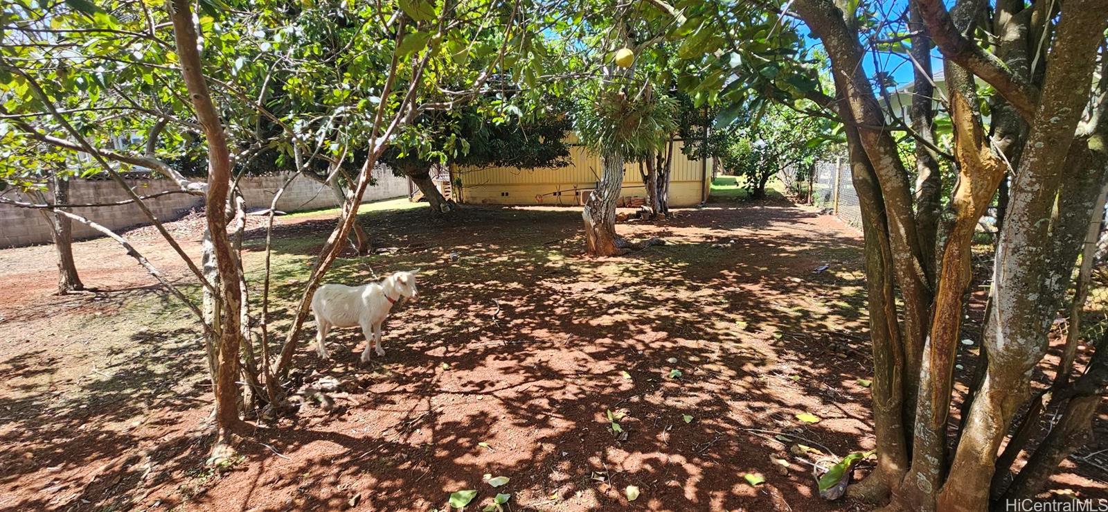 Photo 20 of 21