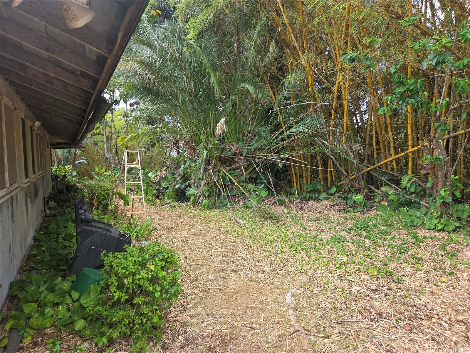 Photo 6 of 25