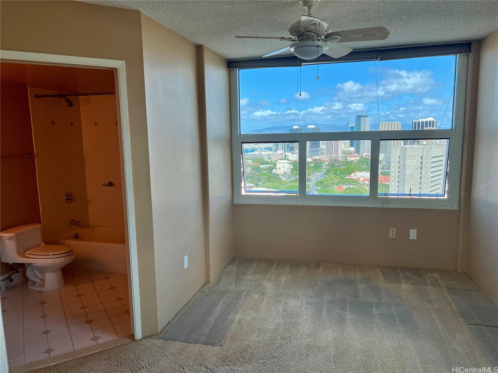 801 S King Street  Unit 3107