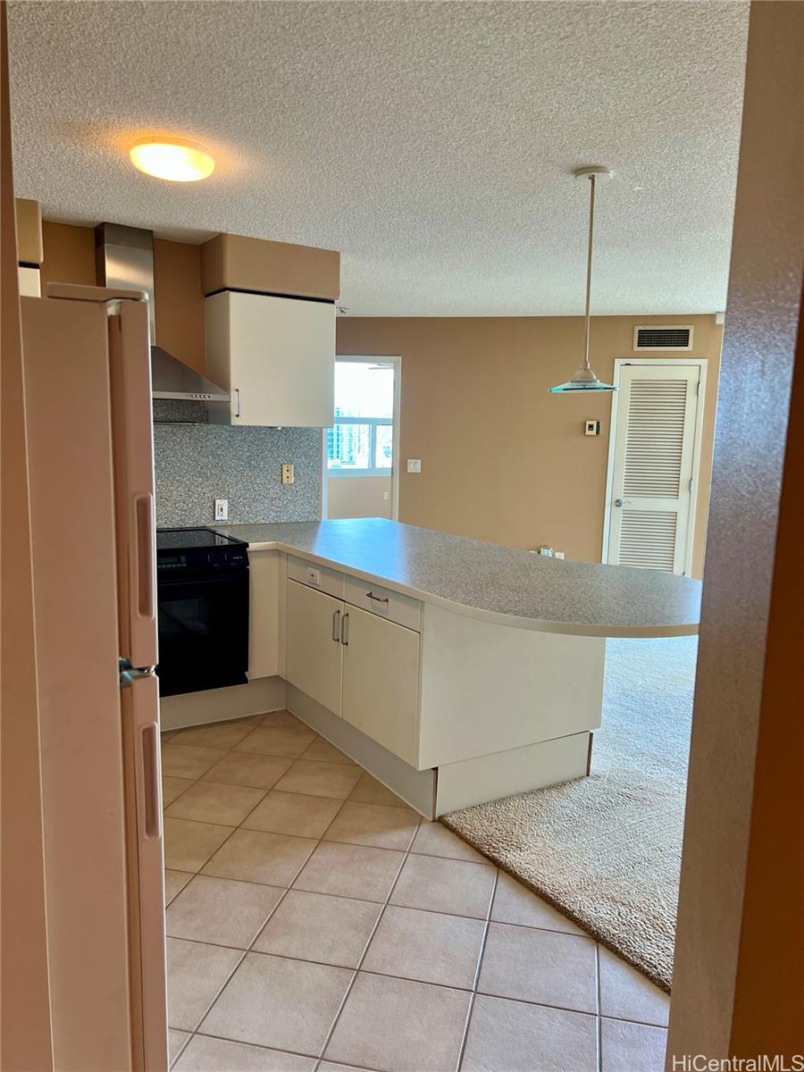 801 S King Street  Unit 3107