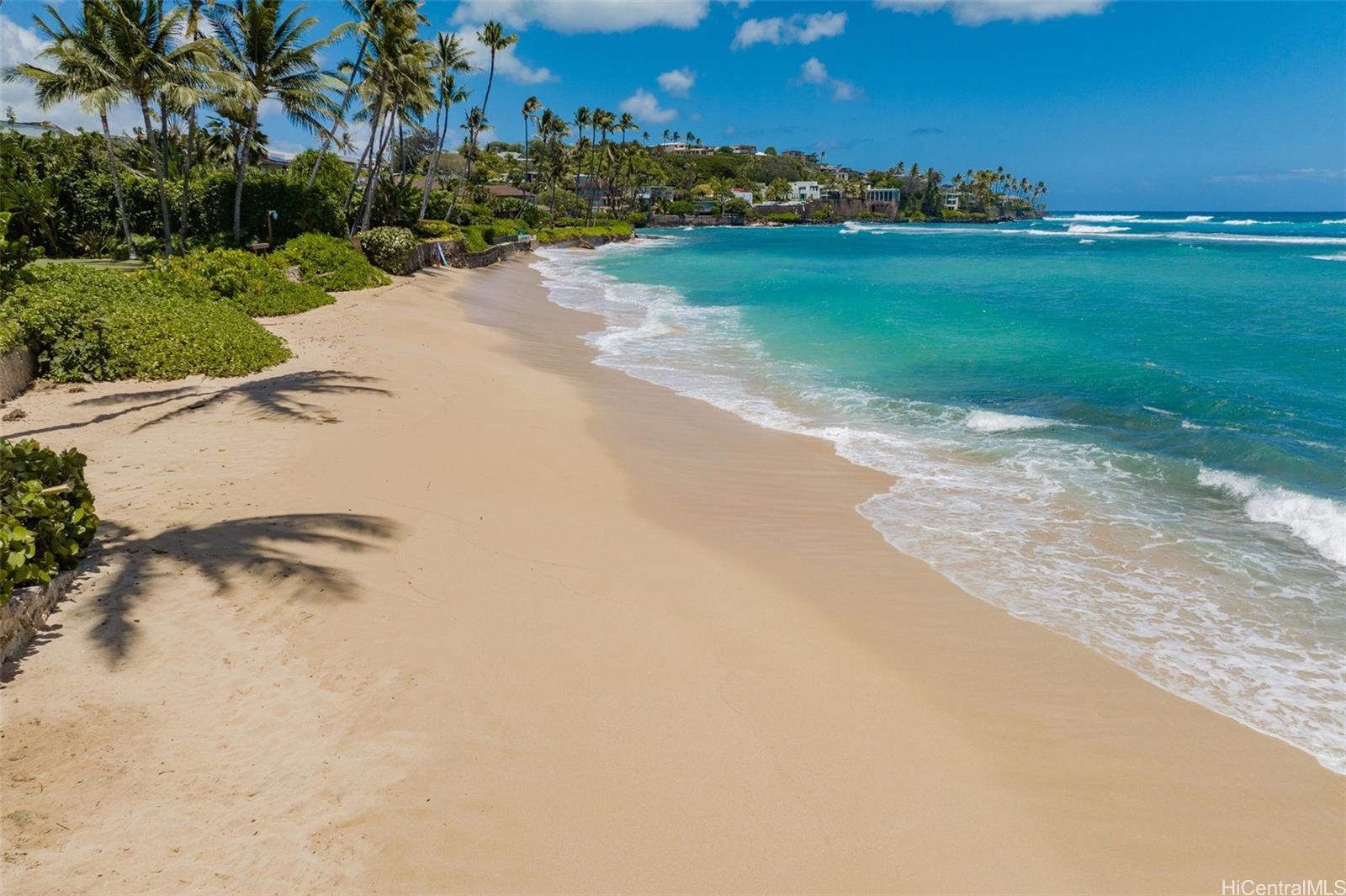3735 Diamond Head Road  Unit A