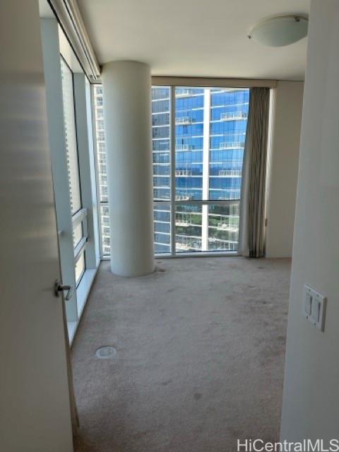 Photo 19 of 19