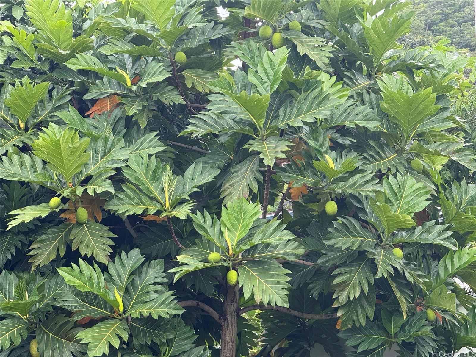 Photo 23 of 24