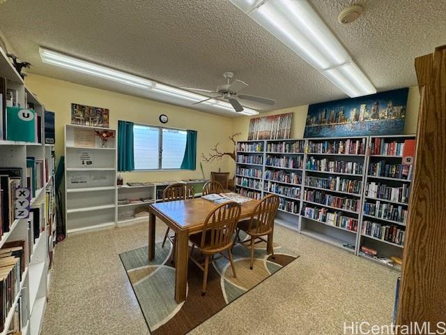 Photo 20 of 24