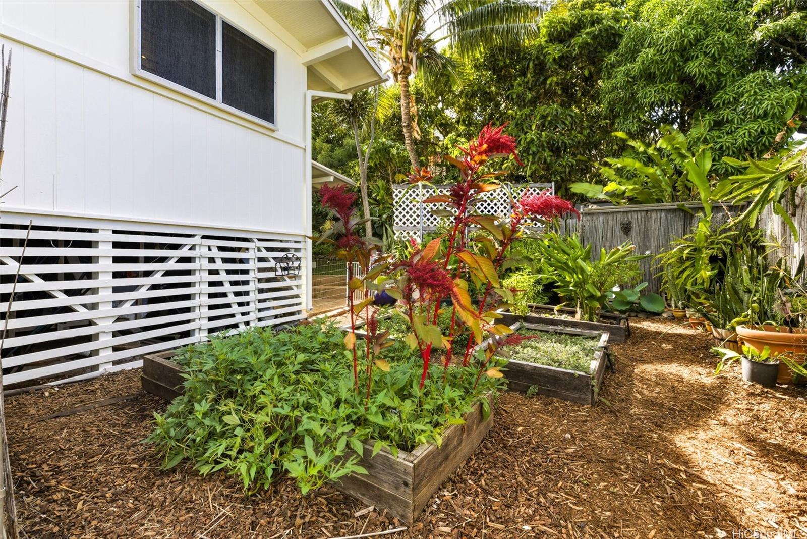 Photo 18 of 25