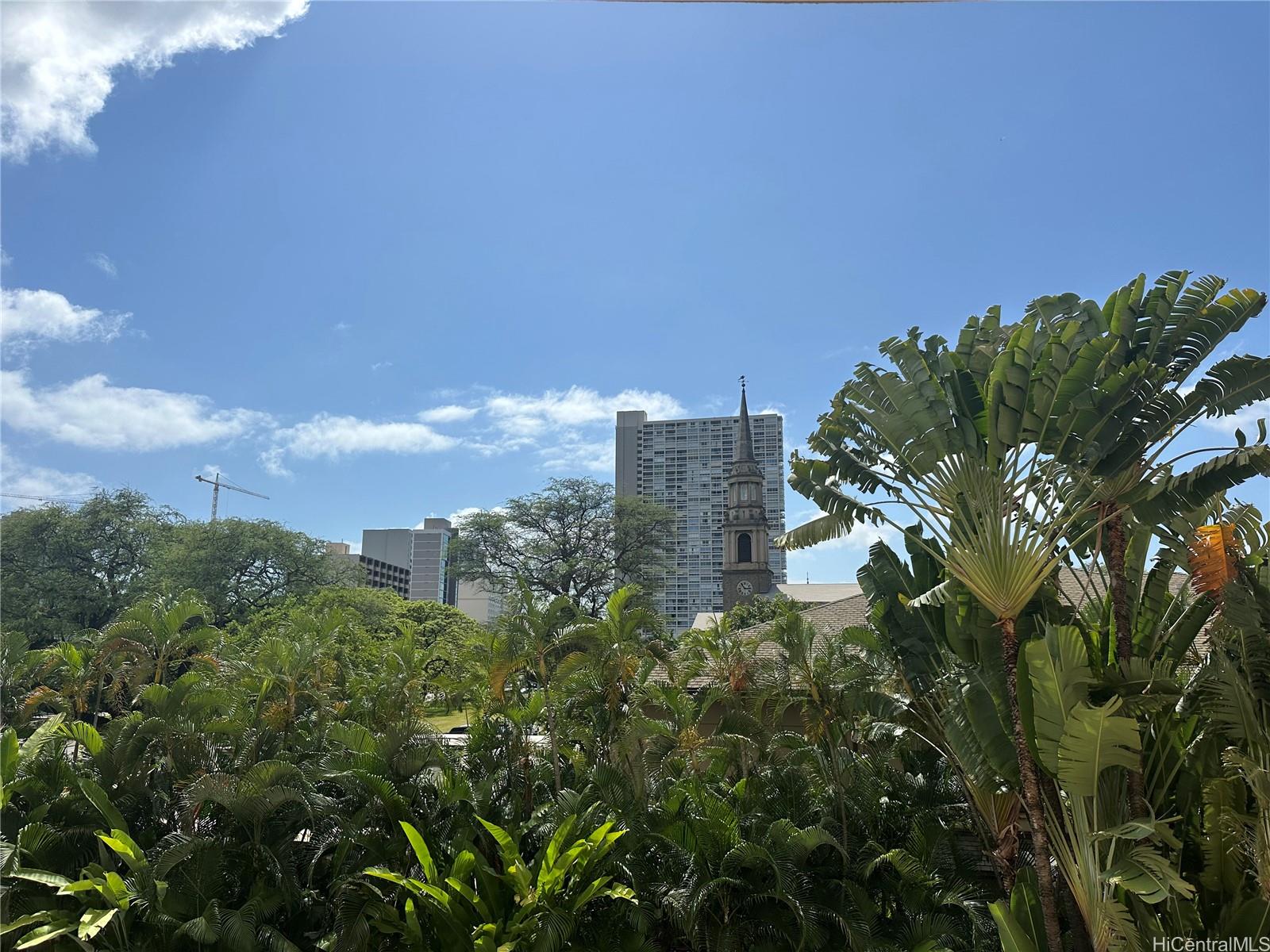 Photo 19 of 19