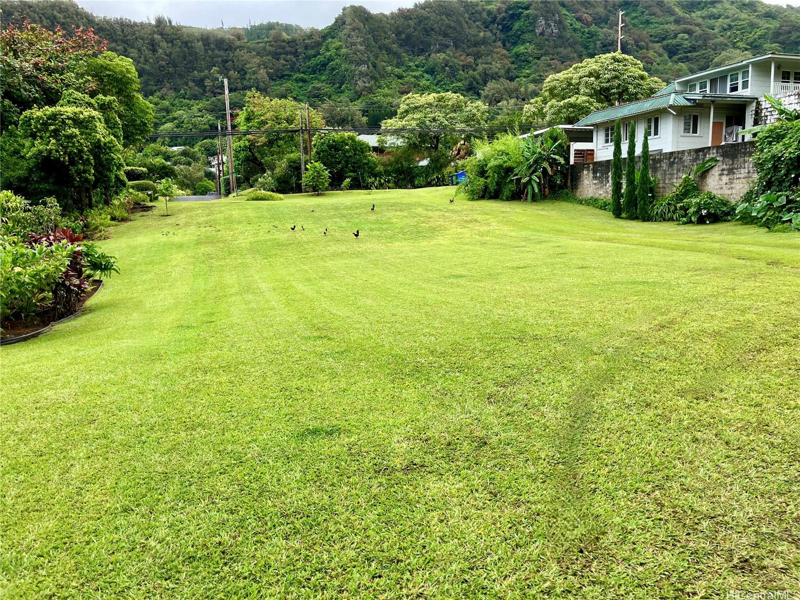 Photo 19 of 19