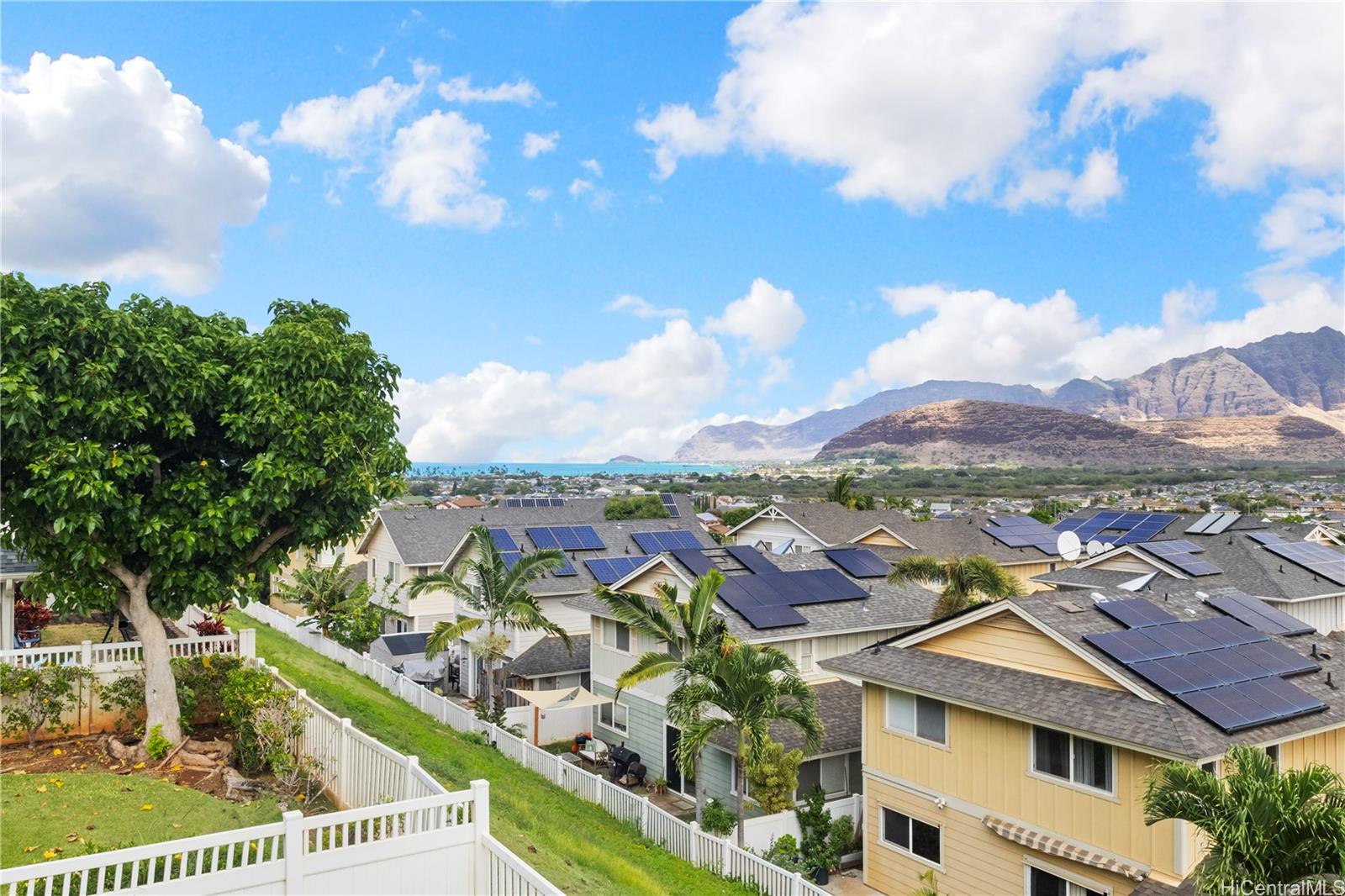 Photo 3 of 25