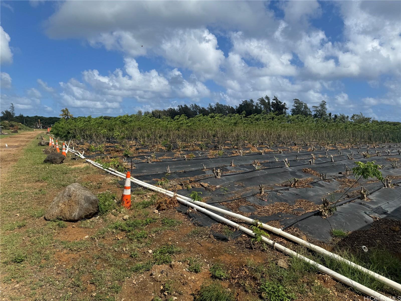 53-720 Kamehameha Highway  Unit 2A