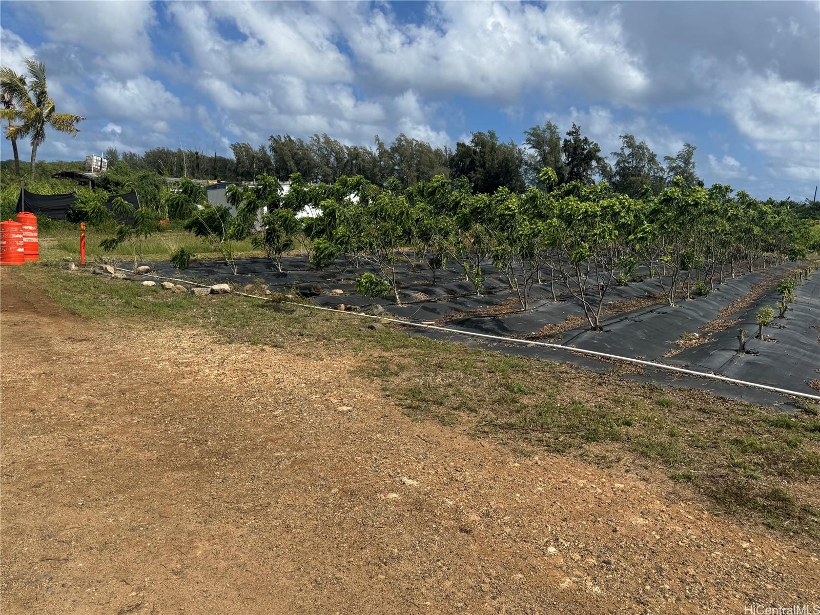 53-720 Kamehameha Highway  Unit 2A
