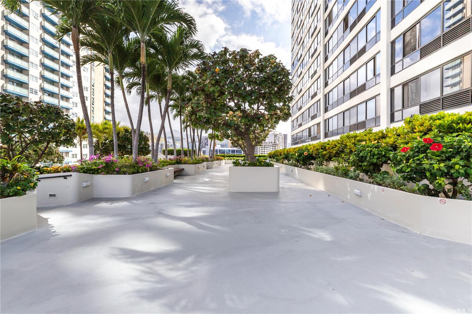 876 Curtis Street  Unit 603