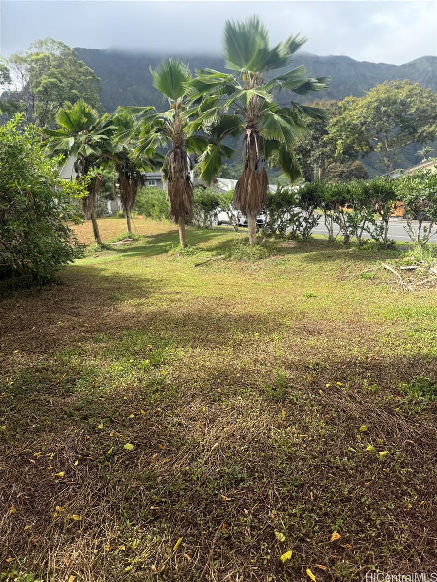 Photo 4 of 9