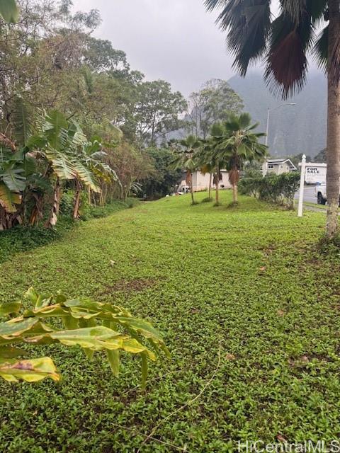 Photo 7 of 9