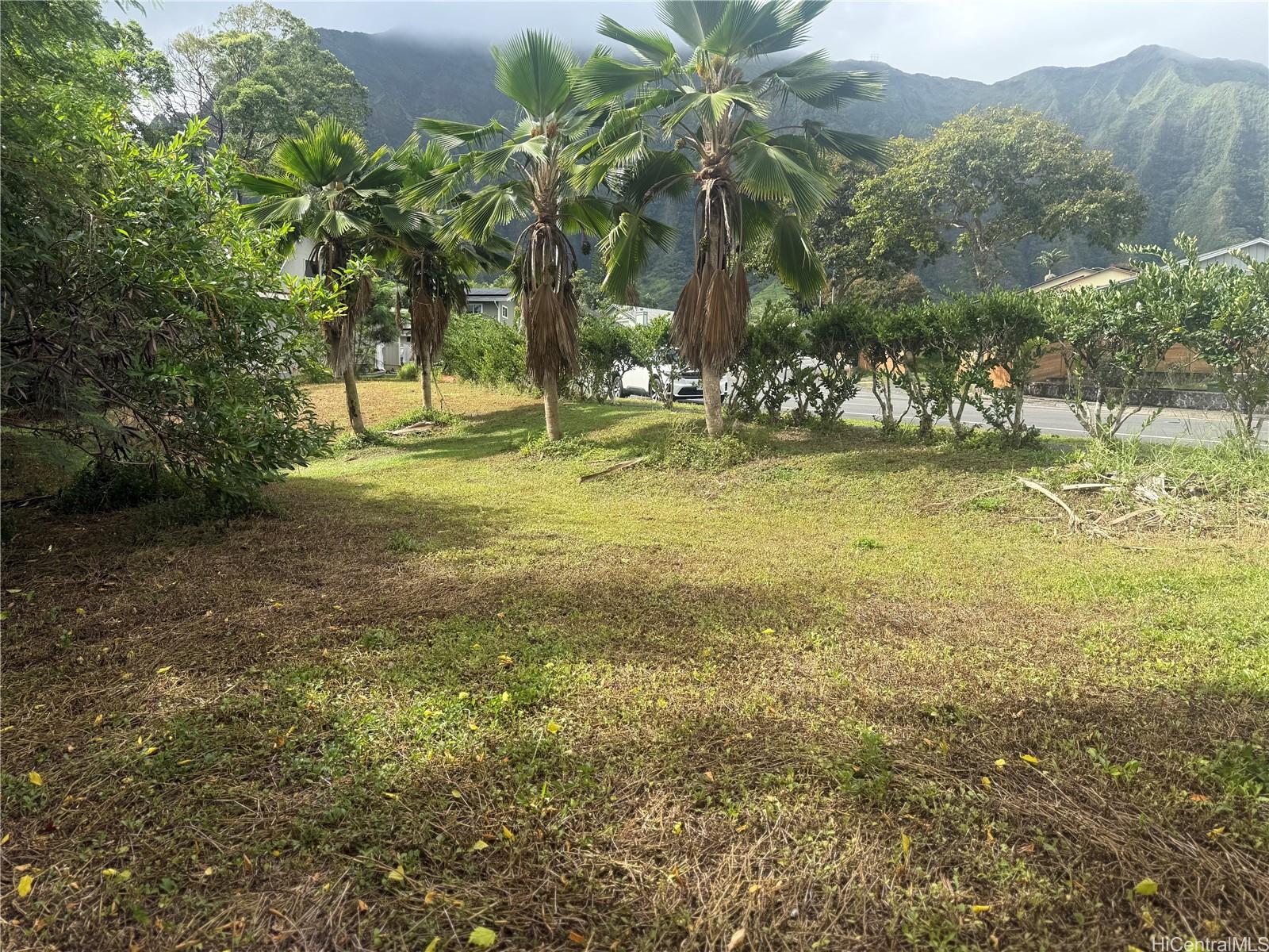 Photo 9 of 9