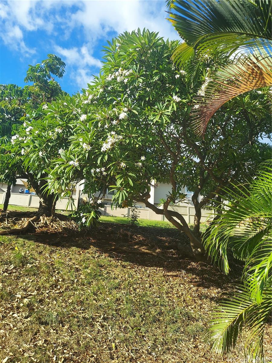 Photo 17 of 25