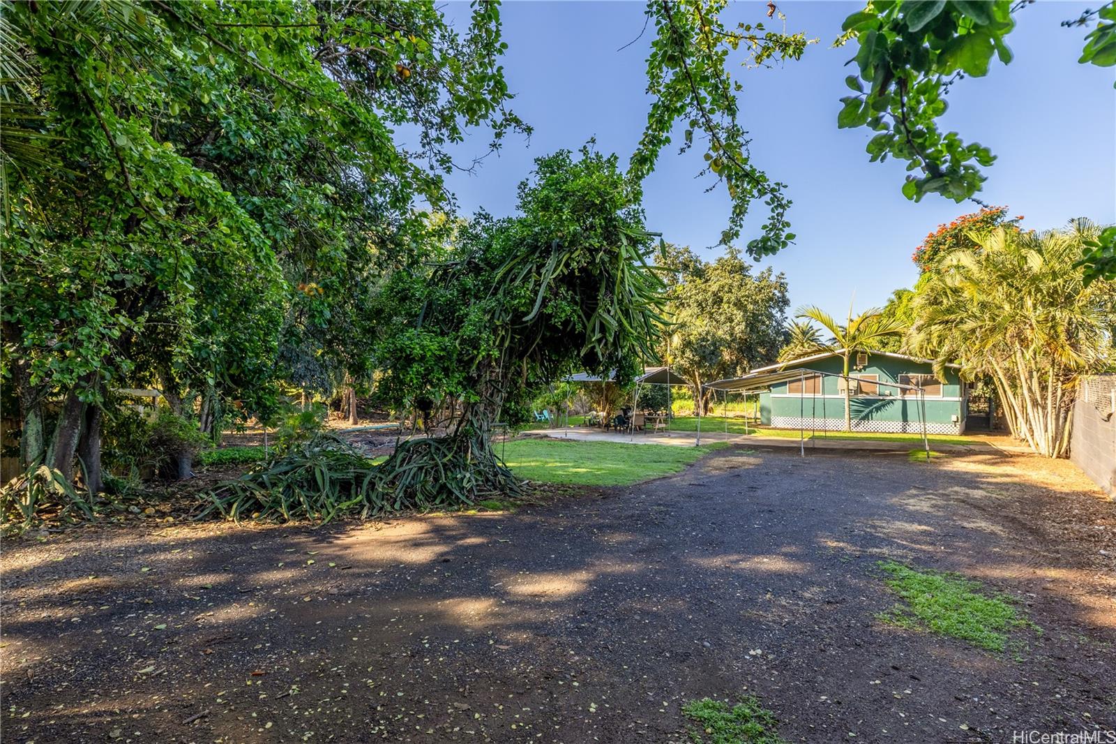 66-815 Kamehameha Highway