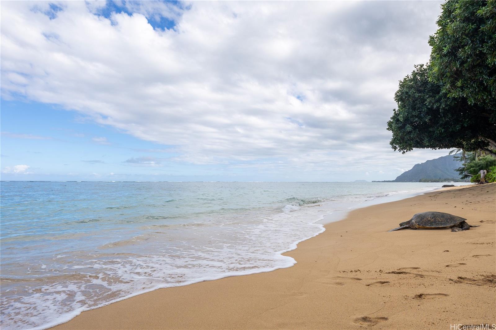 53-549 Kamehameha Highway 209
