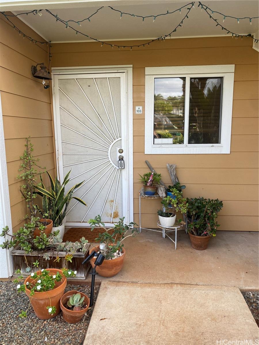 Photo 20 of 25