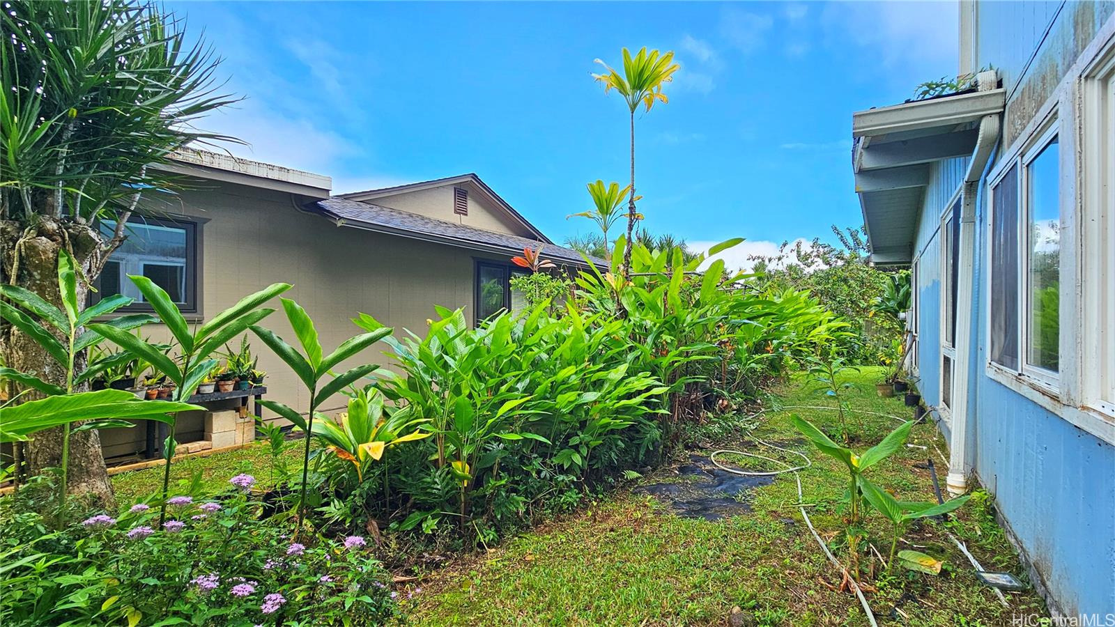 1287 Puualoha Street